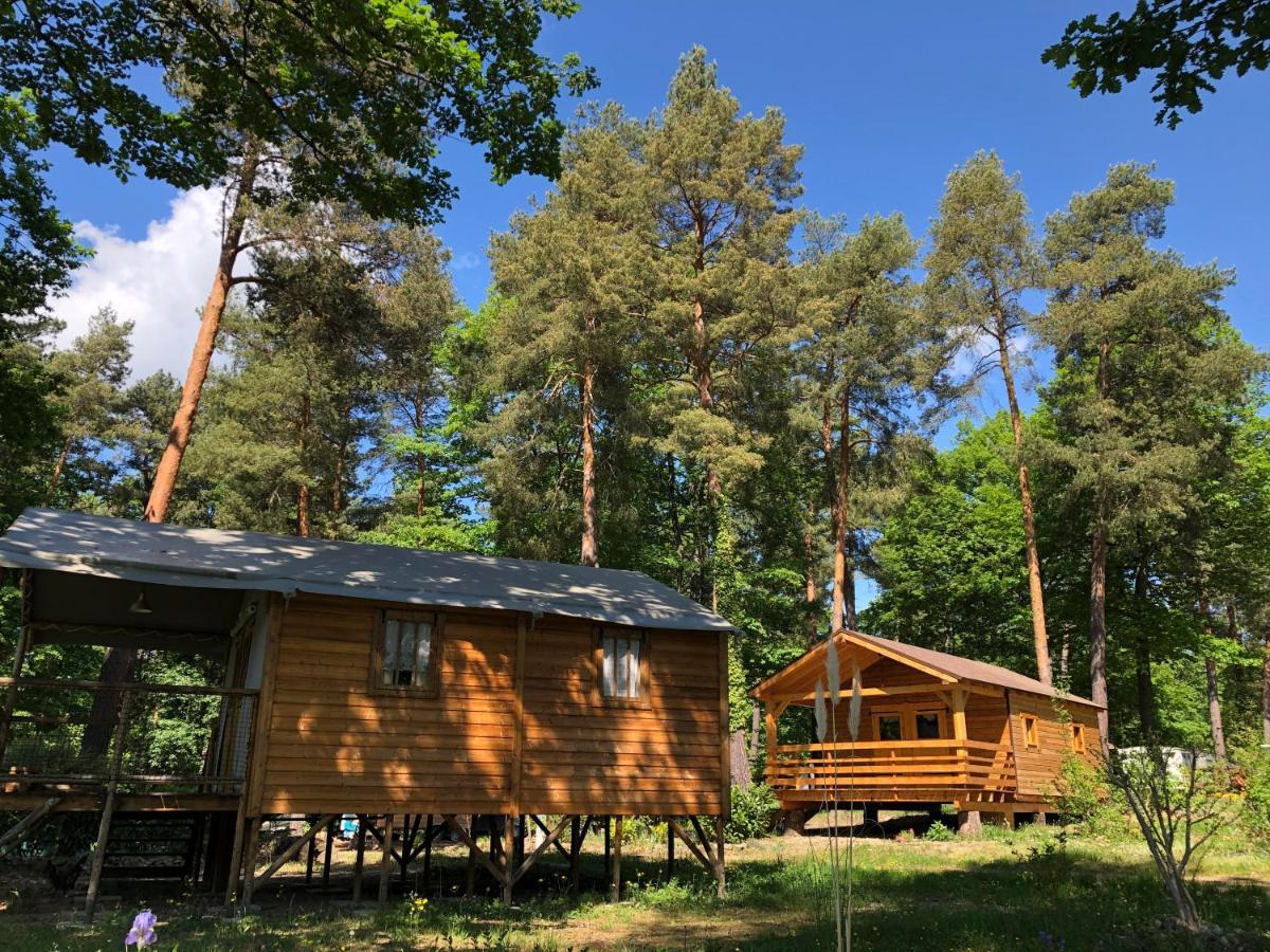 Camping Osenbach Eksteriør bilde